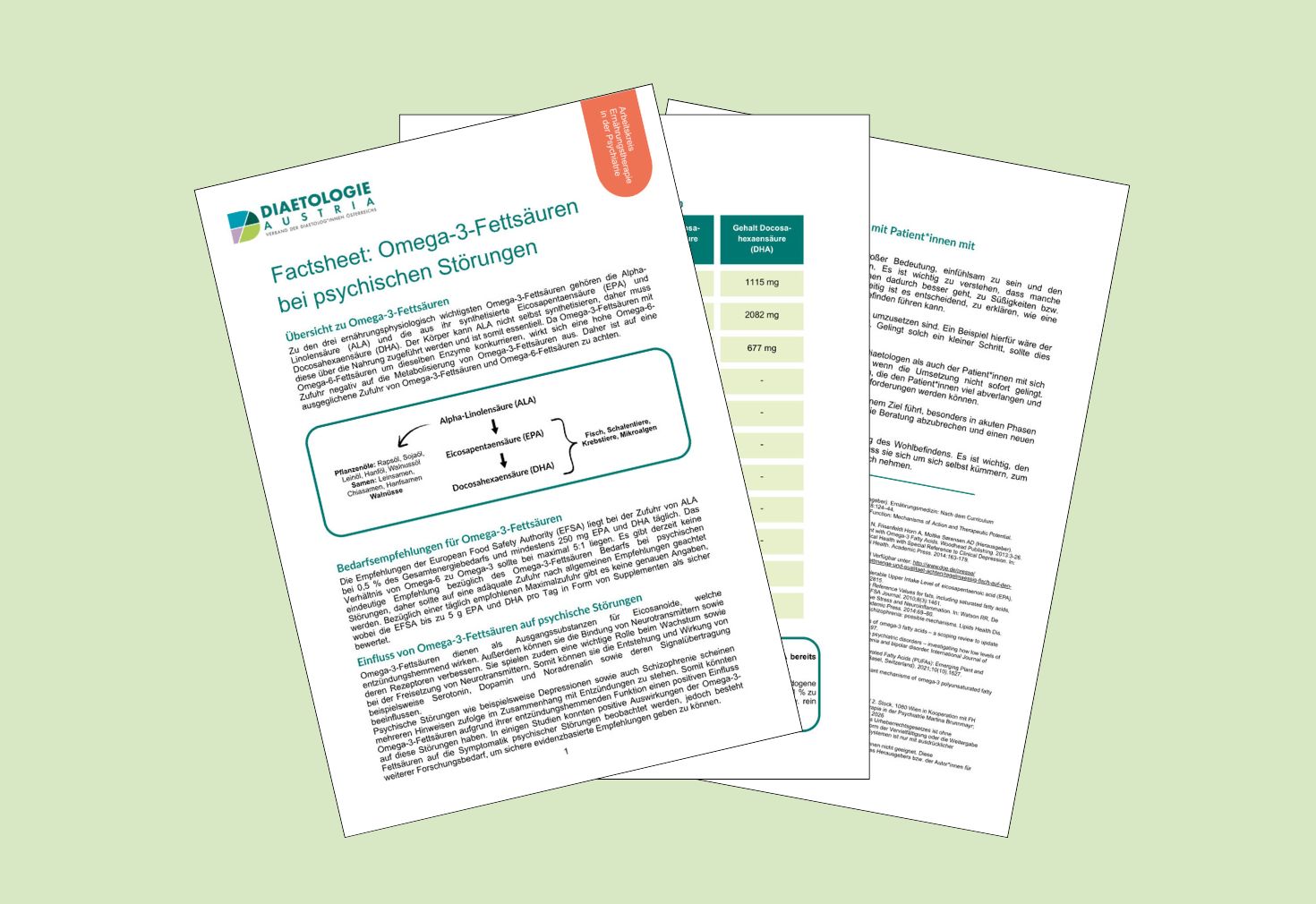 Factsheet 